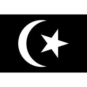 Terengganu State Flag – HMFLG-TRG