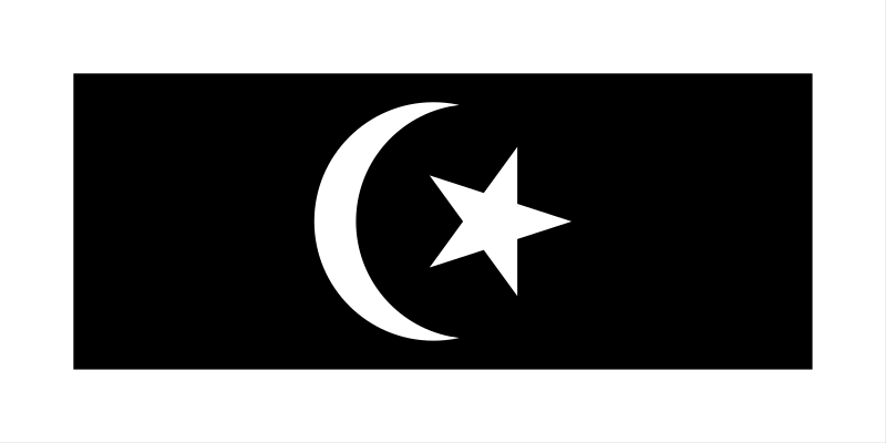 Terengganu State Flag – HMFLG-TRG