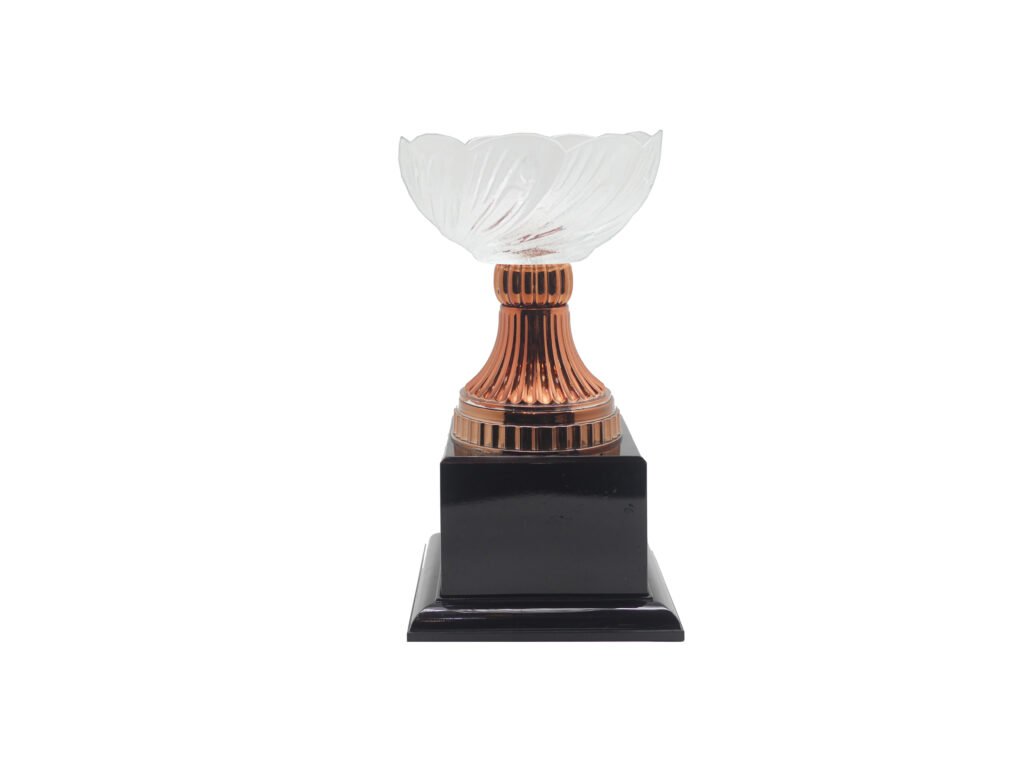 Wave Acrylic Trophy