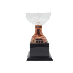Wave Acrylic Trophy