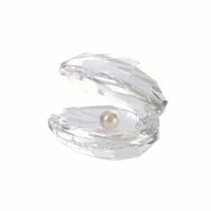 Clear Crystal Clam Shell with Pearl