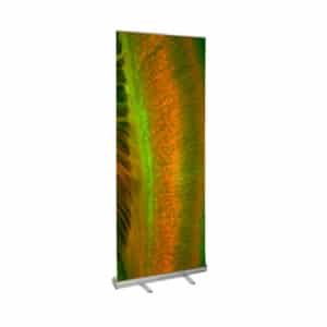Standard Roll-Up Banner Stand