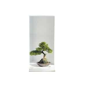 Tabletop Mini Roll-Up Banner