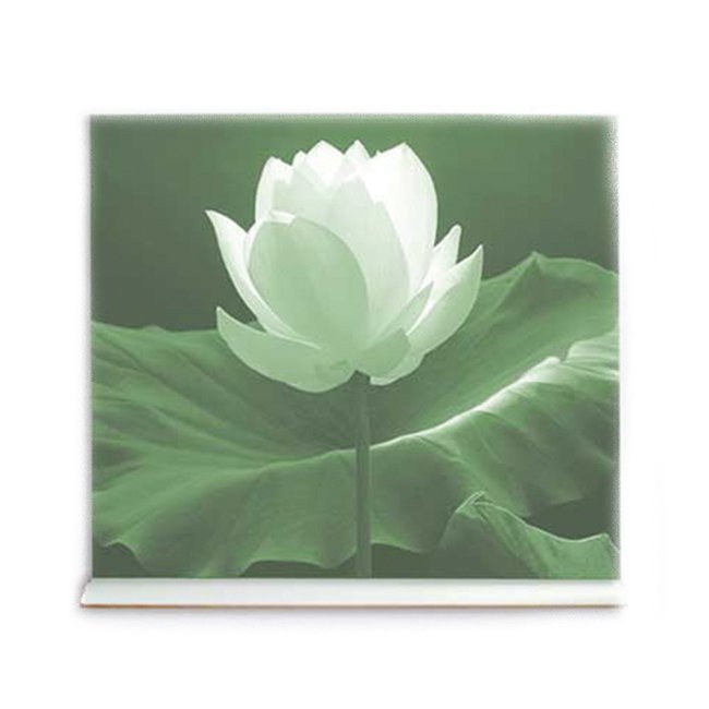 Landscape Tabletop Roll-Up Banner