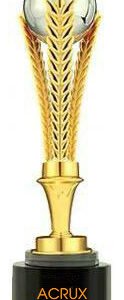 Acrux Gold-Plated Wreathed Globe Trophy – HMGT51