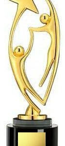Acrux Gold-Plated Dancing Under Stars Trophy – HMGT58