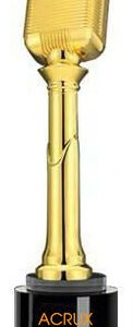 Acrux Gold Microphone Trophy HMGT61
