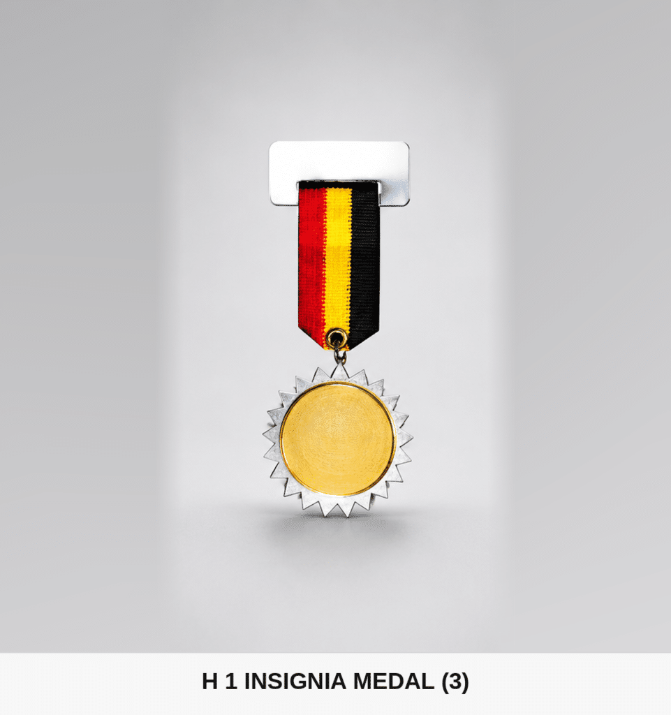 Sunburst Star Insignia Medal