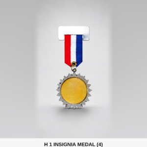Silver Sunburst Insignia Medal with Gold Center (Model H-1-INSIGNIAMEDAL-4)