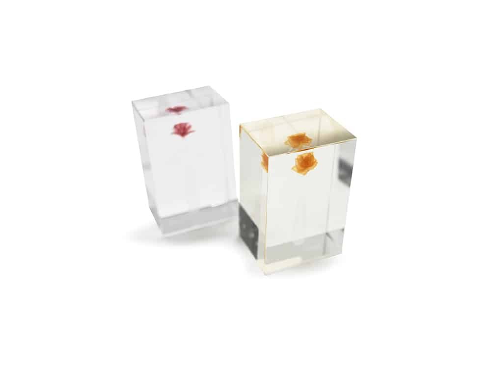 Clear Display Block with Embedded Flower