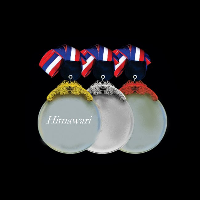 Custom Ribbon Medal with Fringed Bar in Gold, Silver or Bronze