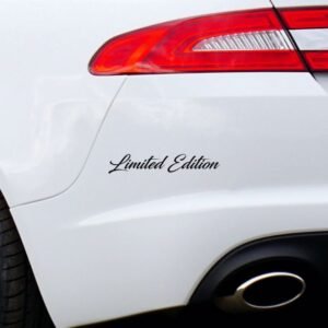 Custom Vinyl Car Sticker