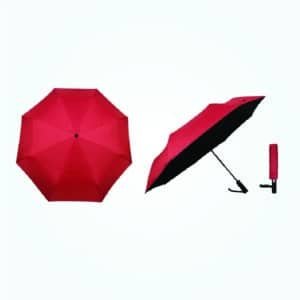 Compact Folding Umbrella with Dark Underside