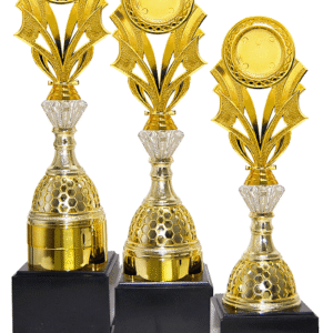 Gold Star Laurel Emblem Trophy Set of Three