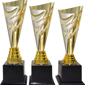 Gold and Silver Flame Cone Trophy Set