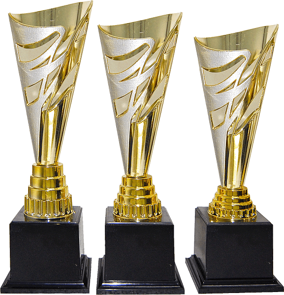 Gold and Silver Flame Cone Trophy Set