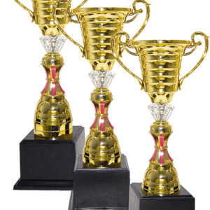 Gold Cup Trophy with Red Accent Stem Set