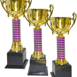Gold Cup Trophy with Purple Column Set
