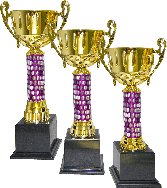 Gold Cup Trophy with Purple Column Set