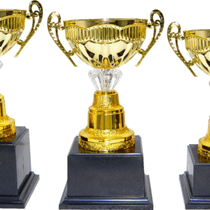 Short Gold Bowl Cup Trophy Set