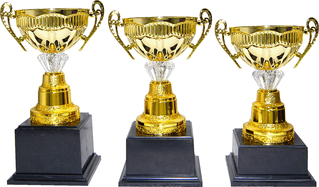 Short Gold Bowl Cup Trophy Set