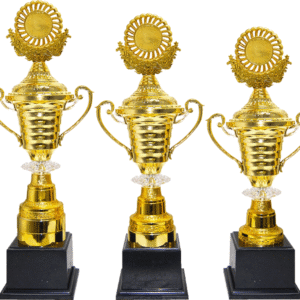 Gold Cup Trophy with Emblem Lid Set