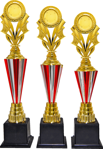 Red and Silver Striped Star Emblem Trophy