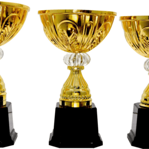 Short Gold Bowl Cup Trophy on Black Base