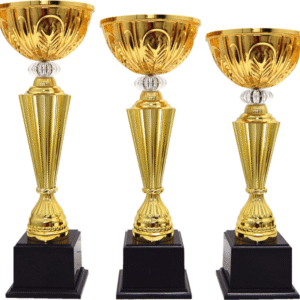Tall Gold Cone Bowl Trophy Set