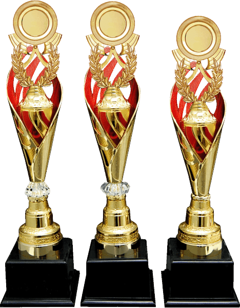 Gold and Red Flame Emblem Trophy Set