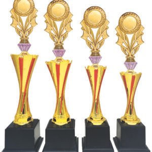 Red Stripe Flared Trophy with Choice of Emblem Top – Gold