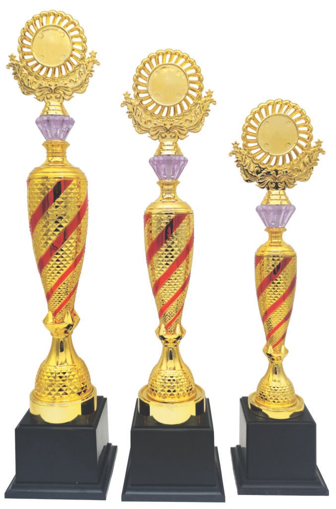 Red Diagonal Stripe Trophy with Choice of Emblem Top – Gold