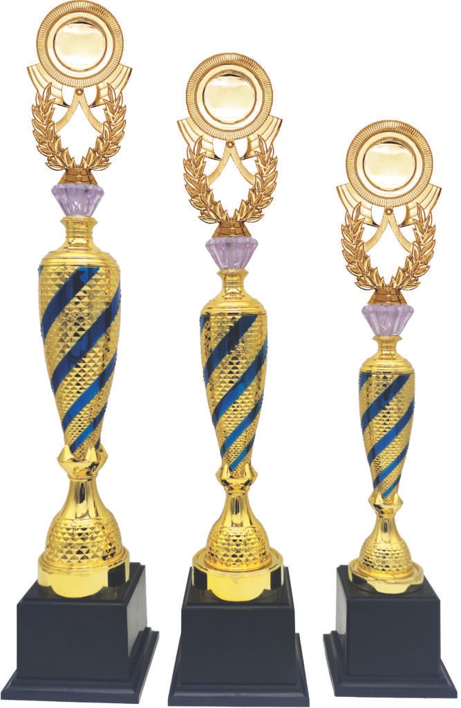 Blue Diagonal Stripe Trophy with Choice of Emblem Top – Gold