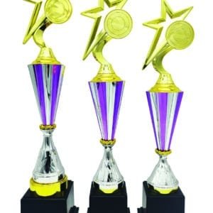 Purple Cone Trophy with Choice of Emblem Top – Gold