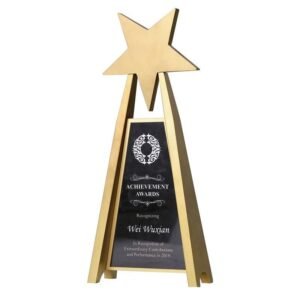 Acrylic Star Award with Gold A-Frame – 295mm