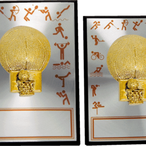 Basketball Award Plaque with 3D Hoop and Sports Print – 2 Sizes