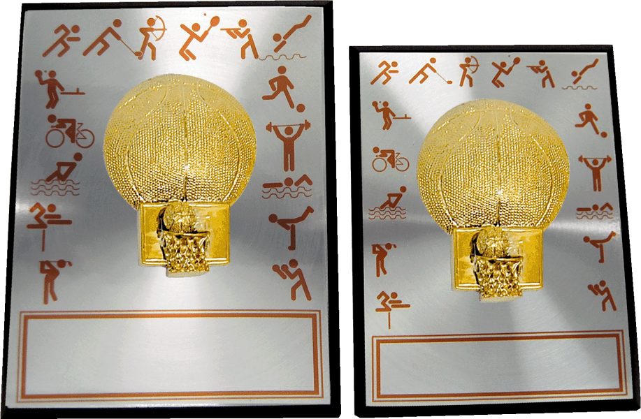 Basketball Award Plaque with 3D Hoop and Sports Print – 2 Sizes