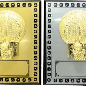 Basketball Award Plaque with 3D Hoop – Gold or Silver Plate