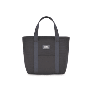 Thermos Insulated Lunch Tote in Ash Blue Beige and Smoke Black