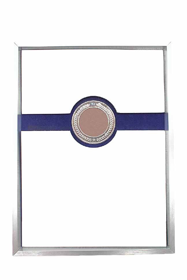 Framed Plate Plaque with Blue Band and Laurel Medallion