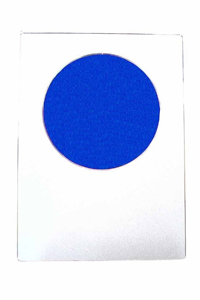 Plate Plaque with Blue Circle Design