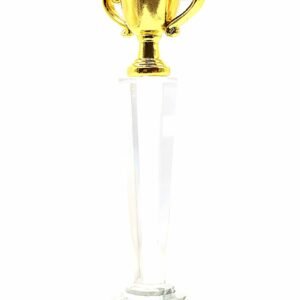 Crystal Column Trophy with Gold Crown Cup